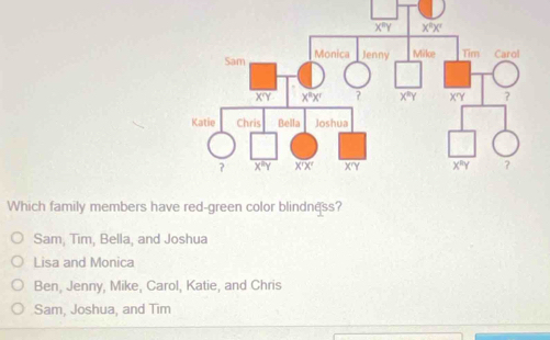 Which family members have red-green color blindness?
Sam, Tim, Bella, and Joshua
Lisa and Monica
Ben, Jenny, Mike, Carol, Katie, and Chris
Sam, Joshua, and Tim