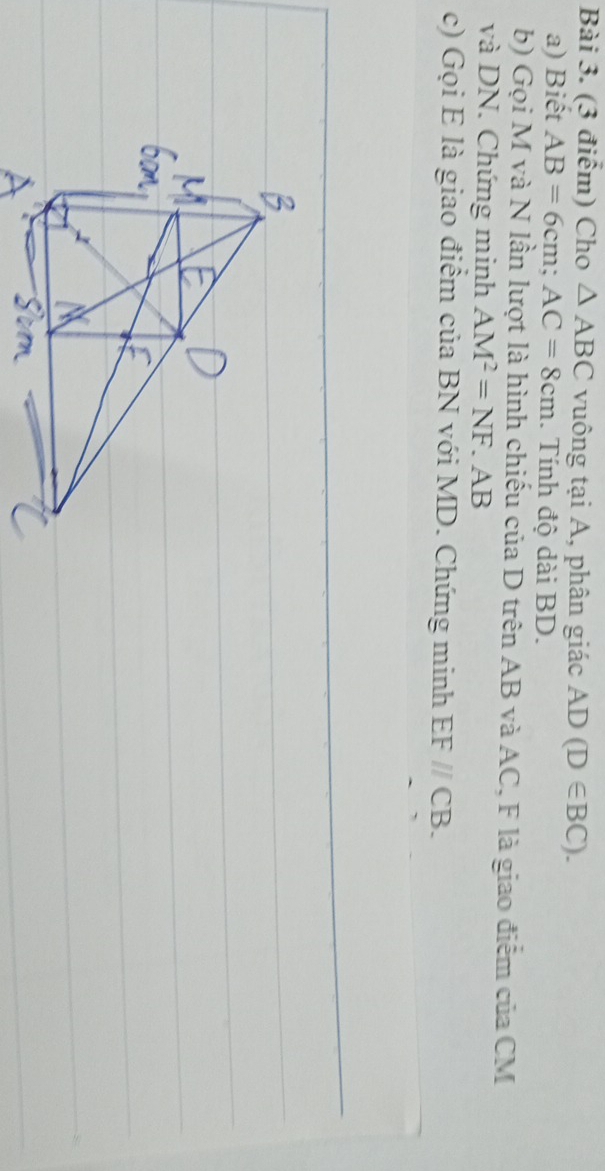 Cho △ ABC vuông tại A, phân giác AD(D∈ BC). 
a) Biết AB=6cm; AC=8cm. Tính độ dài BD. 
b) Gọi M và N lần lượt là hình chiếu của D trên AB và AC, F là giao điểm của CM
và DN. Chứng minh AM^2=NF.AB
c) Gọi E là giao điểm của BN với MD. Chứng minh EF//CB.