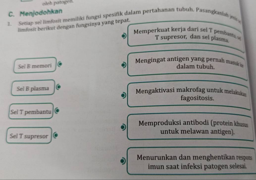 oleh patogen.
C. Menjodohkan
1. Setiap sel limfosit memiliki fungsi spesifik dalam pertahanan tubuh. Pasangkanlah jeni 
limfosit berikut dengan fungsinya yang tepat.
Memperkuat kerja dari sel T pembantu, s
T supresor, dan sel plasma.
Mengingat antigen yang pernah masuk ke
Sel B memori dalam tubuh.
Sel B plasma Mengaktivasi makrofag untuk melakukan
fagositosis.
Sel T pembantu
Memproduksi antibodi (protein khusus
untuk melawan antigen).
Sel T supresor
Menurunkan dan menghentikan respons
imun saat infeksi patogen selesai.