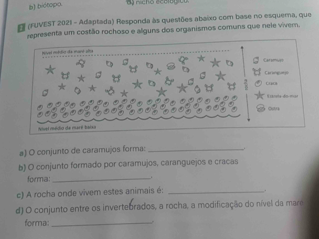 b) biótopo.
nicho ecológico
(FUVEST 2021 - Adaptada) Responda às questões abaixo com base no esquema, que
representa um costão rochoso e alguns dos organismos comuns que nele vivem.
a) O conjunto de caramujos forma:_
b) O conjunto formado por caramujos, caranguejos e cracas
forma:_
c) A rocha onde vivem estes animais é:_
.
d) O conjunto entre os invertebrados, a rocha, a modificação do nível da mare
forma:_
.