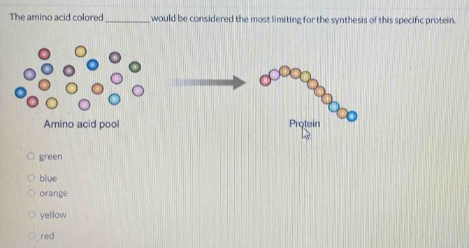 The amino acid colored _would be considered the most limiting for the synthesis of this specific protein.
green
blue
orange
yellow
red