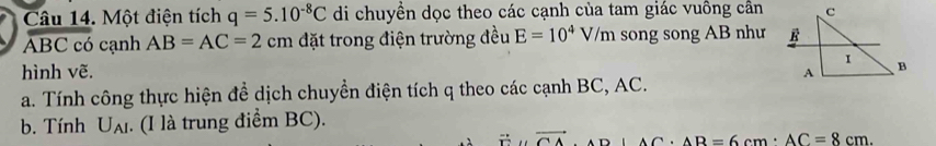 Một điện tích q=5.10^(-8)C di chuyền dọc theo các cạnh của tam giác vuồng cần
ABC có cạnh AB=AC=2cm đặt trong điện trường đều E=10^4V/m song song AB như 
hình vẽ. 
a. Tính công thực hiện để dịch chuyển điện tích q theo các cạnh BC, AC. 
b. Tính U_AI. (I là trung điểm BC).
vector CA AC· AB=6cm· AC=8cm.