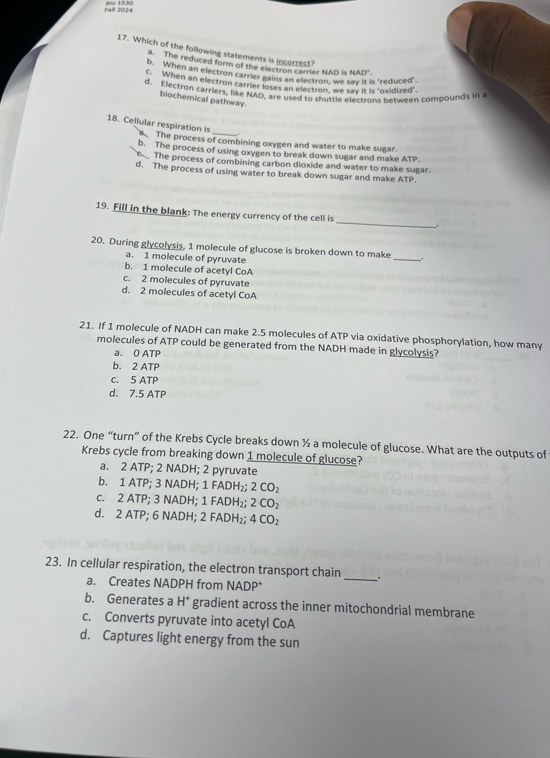 Bio 1530
Fall 2024
17. Which of the following statements is incorrect? NAD°
a. The reduced form of the electron carrier NAD is
b. When an electron carrier gains an electron, we s s ‘reduced’.
c. When an electron carrier loses an electron, we say it is ‘oxidized’.
d. Electron carriers, like NAD, are used to shuttle electrons between compounds in a
biochemical pathway.
18. Cellular respiration is
a The process of combining oxygen and water to make sugar.
b. The process of using oxygen to break down sugar and make ATP.
The process of combining carbon dioxide and water to make sugar.
d. The process of using water to break down sugar and make ATP.
19. Fill in the blank: The energy currency of the cell is _、.
20. During glycolysis, 1 molecule of glucose is broken down to make _.
a. 1 molecule of pyruvate
b. 1 molecule of acetyl CoA
c. 2 molecules of pyruvate
d. 2 molecules of acetyl CoA
21. If 1 molecule of NADH can make 2.5 molecules of ATP via oxidative phosphorylation, how many
molecules of ATP could be generated from the NADH made in glycolysis?
a. 0 ATP
b. 2 ATP
c. 5 ATP
d. 7.5 ATP
22. One “turn” of the Krebs Cycle breaks down ½ a molecule of glucose. What are the outputs of
Krebs cycle from breaking down 1 molecule of glucose?
a. 2 ATP; 2 NADH; 2 pyruvate
b. 1 ATP; 3 NADH; 1 FADH₂; 2CO_2
c. 2 ATP; 3 NADH; 1 FADH₂; 2CO_2
d. 2 ATP; 6 NADH; 2 FADH₂; 4CO_2
23. In cellular respiration, the electron transport chain_ _.
a. Creates NADPH from NADP†
b. Generates a H^+ gradient across the inner mitochondrial membrane
c. Converts pyruvate into acetyl CoA
d. Captures light energy from the sun