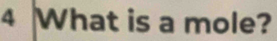 What is a mole?