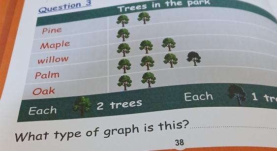 Trees in the park 
Pine 
Maple 
willow 
Palm 
Oak 
Each 1tr 
Each 2 trees 
What type of graph is this?
38