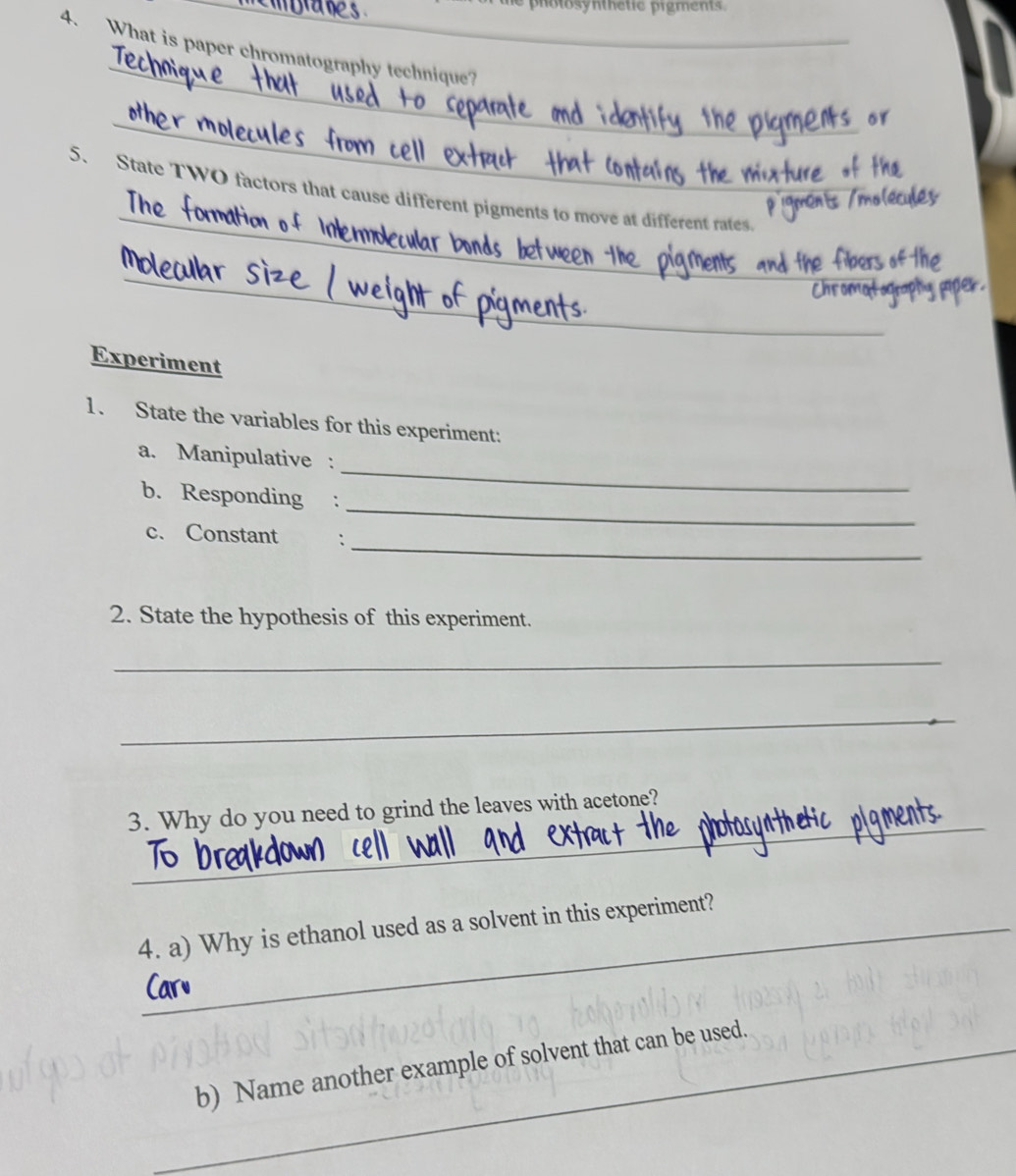 ho tosynthetic pigments 
_ 
4. What is paper chromatography technique? 
_ 
_ 
_ 
5. State TWO factors that cause different pigments to move at different rates 
_ 
Experiment 
1. State the variables for this experiment: 
a. Manipulative : 
b. Responding : 
_ 
_ 
c. Constant ： 
_ 
2. State the hypothesis of this experiment. 
_ 
_ 
_ 
3. Why do you need to grind the leaves with acetone? 
4. a) Why is ethanol used as a solvent in this experiment? 
_b) Name another example of solvent that can be used.