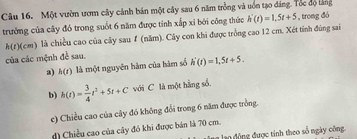 Một vườn ươm cây cảnh bán một cây sau 6 năm trồng và uốn tạo đáng. Tốc độ tảng
trưởng của cây đó trong suốt 6 năm được tính xấp xỉ bởi công thức h'(t)=1,5t+5 , trong đó
h(t) (cm) là chiều cao của cây sau 1 (năm). Cây con khi được trồng cao 12 cm. Xét tính đúng sai
của các mệnh 1overline c sau.
a) h(t) là một nguyên hàm của hàm số h'(t)=1,5t+5.
b) h(t)= 3/4 t^2+5t+C với C là một hằng sổ.
c) Chiều cao của cây đó không đổi trong 6 năm được trồng.
d) Chiều cao của cây đó khi được bán là 70 cm.
llo động được tính theo số ngày công.