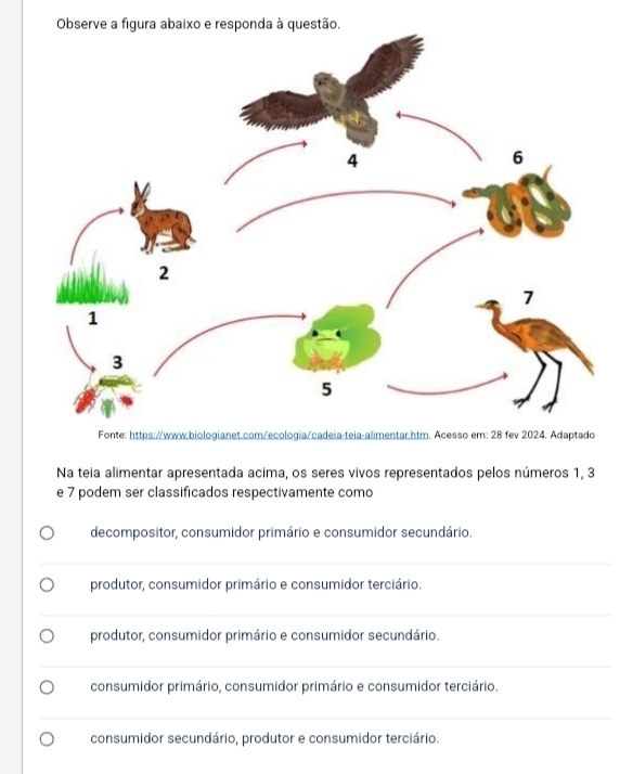 Observe aigura abaixo e responda à 
Na teia alimentar apresentada acima, os seres vivos representados pelos números 1, 3
e 7 podem ser classificados respectivamente como
decompositor, consumidor primário e consumidor secundário.
produtor, consumidor primário e consumidor terciário.
produtor, consumidor primário e consumidor secundário.
consumidor primário, consumidor primário e consumidor terciário.
consumidor secundário, produtor e consumidor terciário.