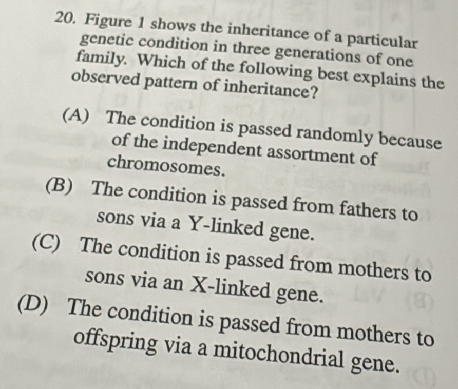 Solved: Figure 1 shows the inheritance of a particular genetic ...