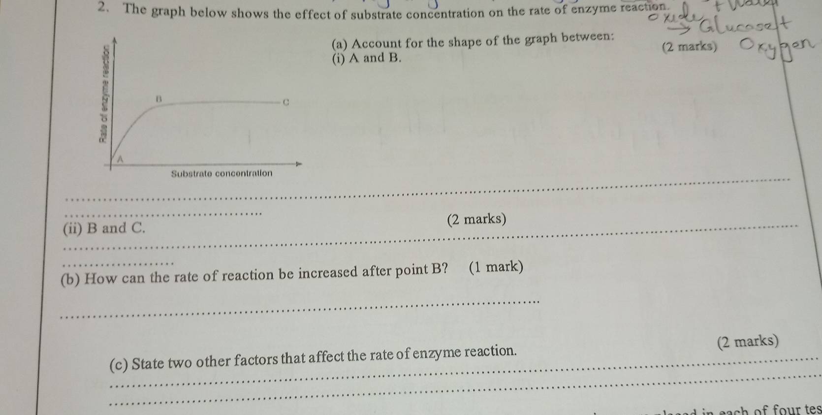 Solved: The graph below shows the effect of substrate concentration on ...