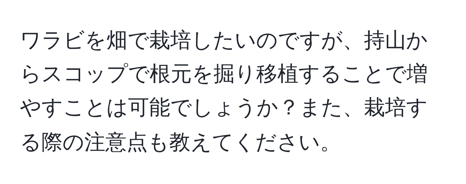 ワラビを畑で栽培したいのですが、持山からスコップで根元を掘り移植することで増やすことは可能でしょうか？また、栽培する際の注意点も教えてください。