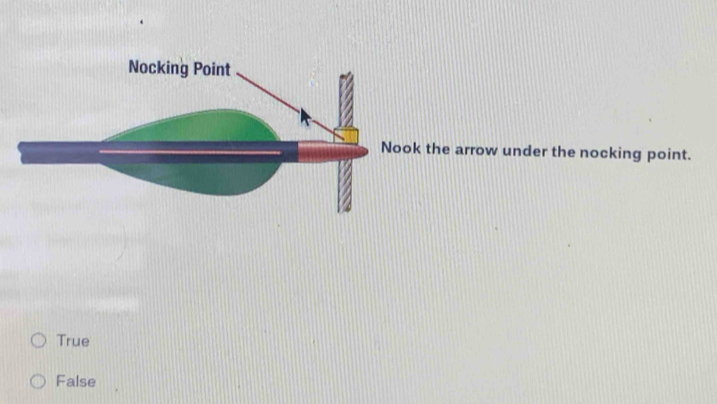 the arrow under the nocking point.
True
False