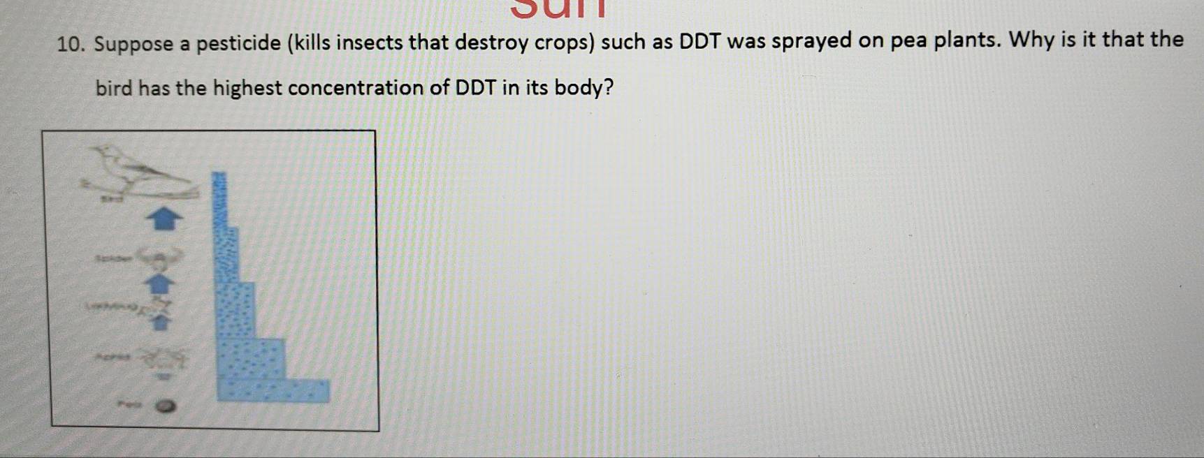 Sun 
10. Suppose a pesticide (kills insects that destroy crops) such as DDT was sprayed on pea plants. Why is it that the 
bird has the highest concentration of DDT in its body?