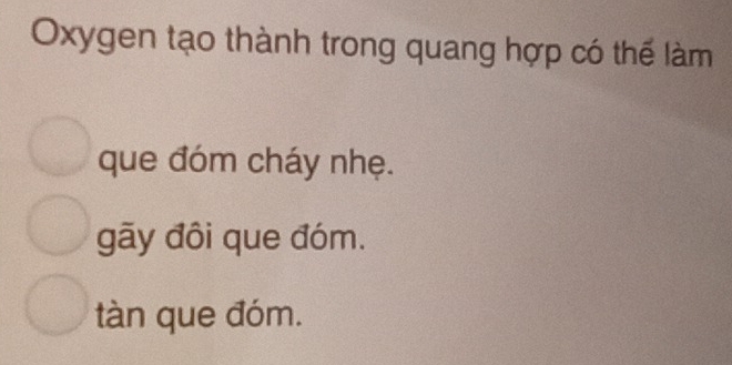 Oxygen tạo thành trong quang hợp có thế làm
que đóm cháy nhẹ.
gãy đôi que đóm.
tàn que đóm.