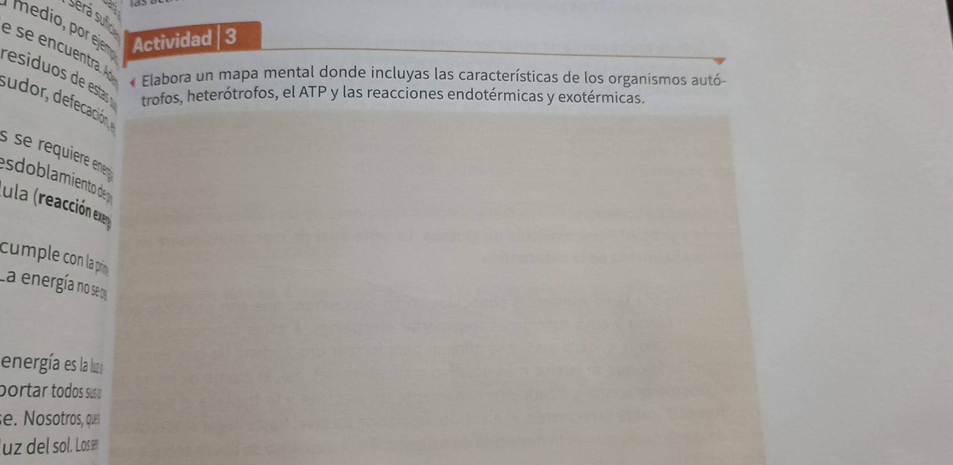 Será suficó 
Actividad | 3 
é se encuentra. « Elabora un mapa mental donde incluyas las características de los organismos autó- 
trofos, heterótrofos, el ATP y las reacciones endotérmicas y exotérmicas. 
s udo defeccació 
se requiere ene 
ésdoblamiento de 
lula (reacción exe 
cumple con la prín 
La energía no se o 
energía es la lu 
portar todos susø 
se. Nosotros, ques 
luz del sol. Lossæ