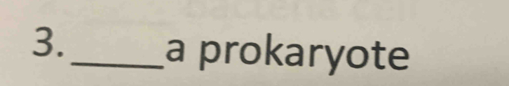 a prokaryote