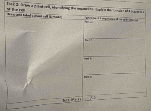 Task 2: Draw a