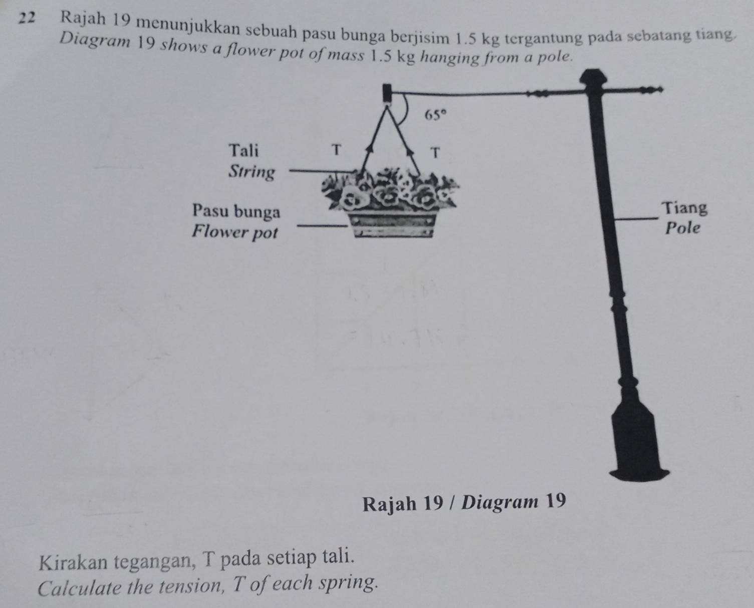 Rajah 19 menunjukkan sebuah pasu bunga berjisim 1.5 kg tergantung pada sebatang tiang.
Diagram 19 shows a flower pot of mass 1.5 kg hanging from a pole.
Rajah 19 / Diagram 19
Kirakan tegangan, T pada setiap tali.
Calculate the tension, T of each spring.