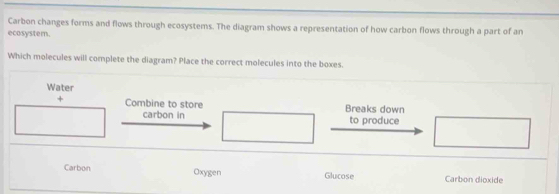 Carbon changes forms and flows through ecosystems. The diagram shows a representation of how carbon flows through a part of an 
ecosystem. 
Which molecules will complete the diagram? Place the correct molecules into the boxes. 
Water 
+ Combine to store Breaks down 
carbon in to produce □°
□  □  
Carbon Oxygen Glucose Carbon dioxide