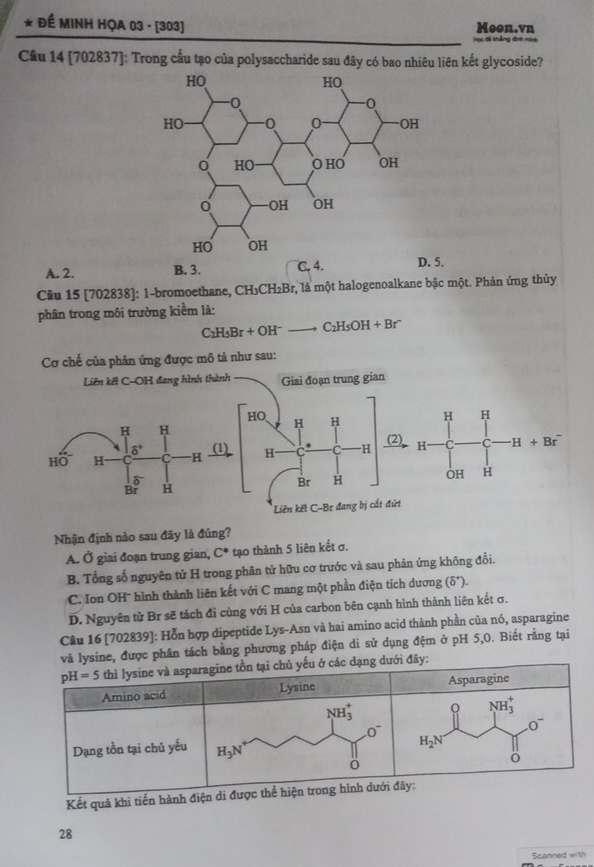 Để MINH HỌA 03 - [303] Moon.vn
Câu 14 [702837]: Trong cầu tạo của polysaccharide sau đây có bao nhiêu liên kết glycoside?
A. 2. B. 3. C, 4. .
Câu 15 [702838]: 1-bromoethane, CH₃CH₂Br, là một halogenoalkane bậc một. Phản ứng thủy
phân trong môi trường kiểm là:
C₁HsBr w OH   C₂H₅OH + Br¯
Cơ chế của phản ứng được mô tả như sau:
Liên kết C-OH đang hình thành Giai đoạn trung gian
HO H H H
H H
H
Hwidehat HO H C ·H (1) H· C H (2) H C C H + Br
vector o
H
Br H OH H
Liên kết C-Br đang bị cắt đứt
Nhận định nào sau đây là đúng?
A. Ở giai đoạn trung gian, C^(·) tạo thành 5 liên kết σ.
B. Tổng số nguyên tử H trong phân tử hữu cơ trước và sau phản ứng không đổi.
C. Ion OH- hình thành liên kết với C mang một phần điện tích dương (delta^+).
D. Nguyên tử Br sẽ tách đi cùng với H của carbon bên cạnh hình thành liên kết σ.
Câu 16 [702839]: Hỗn hợp dipeptide Lys-Asn và hai amino acid thành phần của nó, asparagine
lysine, được phân tách bằng phương pháp điện di sử dụng đệm ở pH 5,0. Biết rằng tại
Kết quả khi ti
28
Scanned with