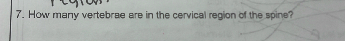 How many vertebrae are in the cervical region of the spine?