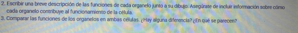 Escribir una breve descripción de las funciones de cada organelo junto a su dibujo. Asegúrate de incluir información sobre cómo 
cada organelo contribuye al funcionamiento de la célula. 
3. Comparar las funciones de los organelos en ambas células. ¿Hay alguna diferencia? ¿En qué se parecen?