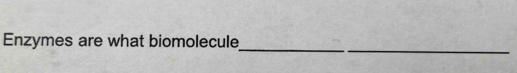 Enzymes are what biomolecule