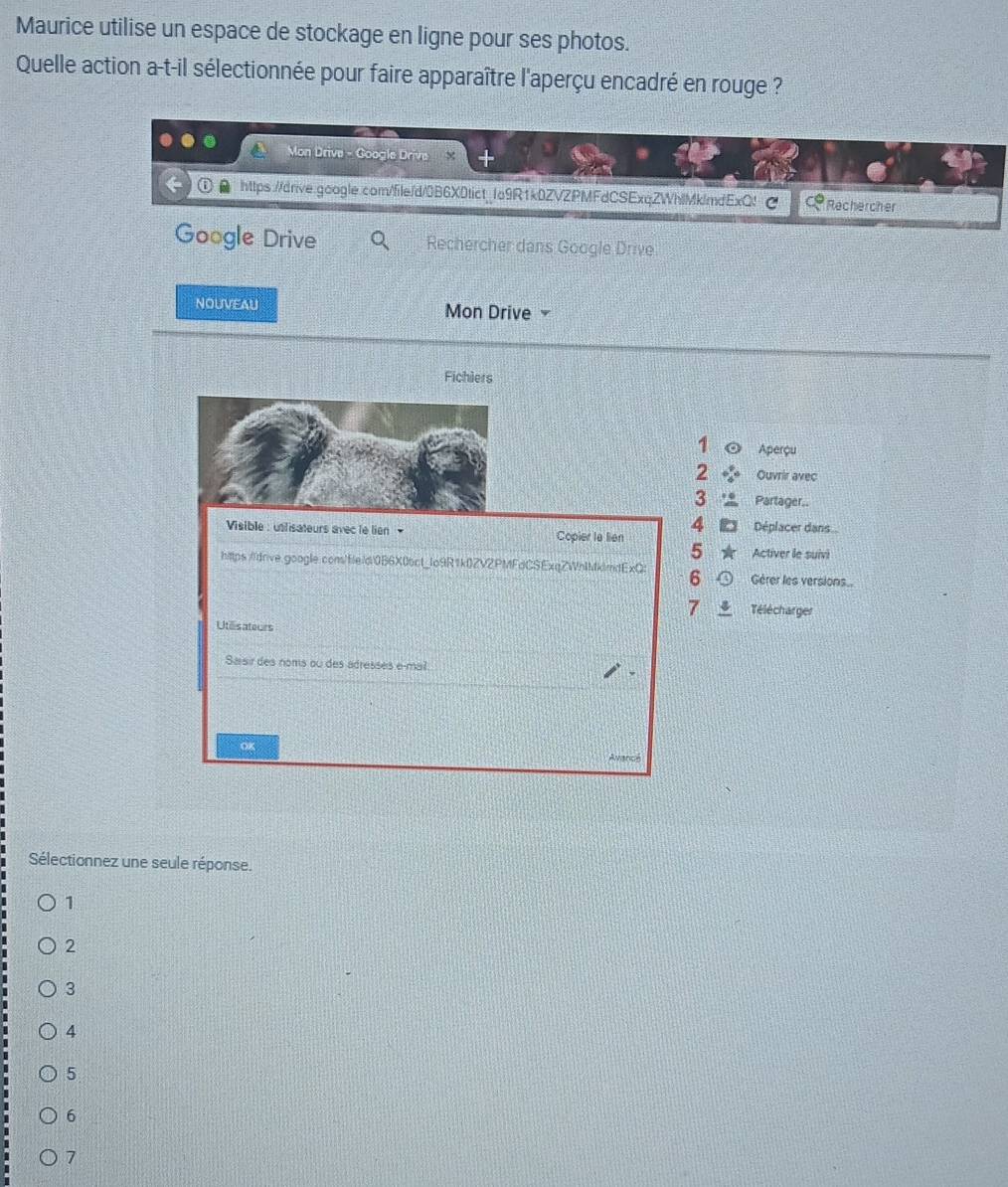 Maurice utilise un espace de stockage en ligne pour ses photos.
Quelle action a-t-il sélectionnée pour faire apparaître l'aperçu encadré en rouge ?
Mon Drive - Google Drive
https://drive.google.com/file/d/0B6X0tict 1a9R1k0ZVZPMFdCSExqZWhMklmdExQ! C Rechercher
Google Drive Rechercher dans Google Drive
NOUVEAU Mon Drive 
Fichiers
1 Aperçu
2 Ouvrir avec
3 Partager..
4
Visible : utlisateurs avecle lien Copier le lien Déplacer dans...
5 Activer le suivi
https://drive.google.com/fleid0B6X0bct_lo9R1k0ZV2PMFdCSExqZWnlMkimdExQ: 6 Gérer les versions..
7 Télécharger
Utlisateurs
Saisir des noms ou des adresses e-mail
Sélectionnez une seule réponse.
1
2
3
4
5
6
1