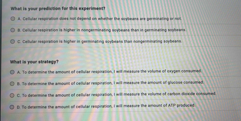 What is your prediction for this experiment?
A. Cellular respiration does not depend on whether the soybeans are germinating or not.
B. Cellular respiration is higher in nongerminating soybeans than in germinating soybeans.
C. Cellular respiration is higher in germinating soybeans than nongerminating soybeans.
What is your strategy?
A. To determine the amount of cellular respiration, I will measure the volume of oxygen consumed.
B. To determine the amount of cellular respiration, I will measure the amount of glucose consumed.
C. To determine the amount of cellular respiration, I will measure the volume of carbon dioxide consumed.
D. To determine the amount of cellular respiration, I will measure the amount of ATP produced.