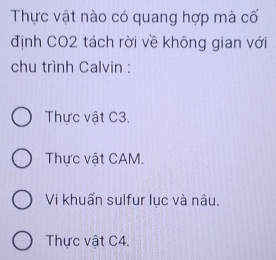 Thực vật nào có quang hợp mà cố
định CO2 tách rời về không gian với
chu trình Calvin :
Thực vật C3.
Thực vật CAM.
Vi khuẩn sulfur lục và nâu,
Thực vật C4.