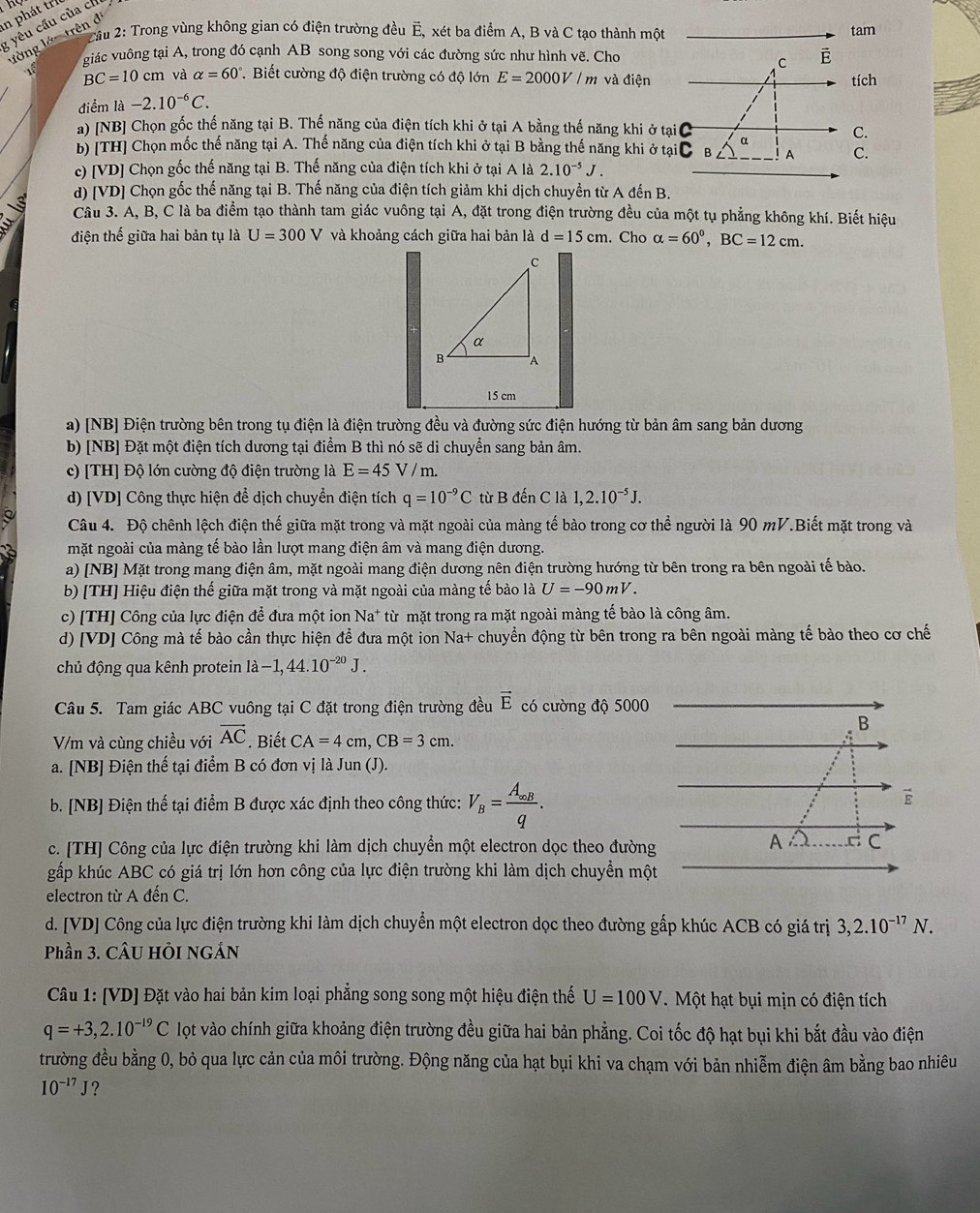 in phát trí
: yếu cầu của chế
* 2ầu 2: Trong vùng không gian có điện trường đều É, xét ba điểm A, B và C tạo thành một tam
lờng lớntrên đ
giác vuông tại A, trong đó cạnh AB song song với các đường sức như hình vẽ. Cho É
C
BC=10cm và alpha =60° T. Biết cường độ điện trường có độ lớn E=2000V/m và điện
tích
điểm là -2.10^(-6)C.
a) [NB] Chọn gốc thế năng tại B. Thế năng của điện tích khi ở tại A bằng thế năng khi ở tại C
α
C.
b) [TH] Chọn mốc thế năng tại A. Thế năng của điện tích khi ở tại B bằng thế năng khi ở tại B A C.
c) [VD] Chọn gốc thế năng tại B. Thế năng của điện tích khi ở tại A là 2.10^(-5)J.
d) [VD] Chọn gốc thế năng tại B. Thế năng của điện tích giảm khi dịch chuyển từ A đến B.
Câu 3. A, B, C là ba điểm tạo thành tam giác vuông tại A, đặt trong điện trường đều của một tụ phẳng không khí. Biết hiệu
điện thế giữa hai bản tụ là U=300V và khoảng cách giữa hai bản là d=15cm. Cho alpha =60°,BC=12cm.
15 cm
a) [NB] Điện trường bên trong tụ điện là điện trường đều và đường sức điện hướng từ bản âm sang bản dương
b) [NB] Đặt một điện tích dương tại điểm B thì nó sẽ di chuyển sang bản âm.
c) [TH] Độ lớn cường độ điện trường là E=45V/m.
d) [VD] Công thực hiện để dịch chuyển điện tích q=10^(-9)C từ B đến C là 1,2.10^(-5)J.
Câu 4. Độ chênh lệch điện thế giữa mặt trong và mặt ngoài của màng tế bào trong cơ thể người là 90 mV.Biết mặt trong và
mặt ngoài của màng tế bào lần lượt mang điện âm và mang điện dương.
a) [NB] Mặt trong mang điện âm, mặt ngoài mang điện dương nên điện trường hướng từ bên trong ra bên ngoài tế bào.
b) [TH] Hiệu điện thế giữa mặt trong và mặt ngoài của màng tế bào là U=-90mV.
c) [TH] Công của lực điện để đưa một ion Na^+ từ mặt trong ra mặt ngoài màng tế bào là công âm.
d) [VD] Công mà tế bào cần thực hiện để đưa một ion Na+ chuyền động từ bên trong ra bên ngoài màng tế bào theo cơ chế
chủ động qua kênh protein la-1,44.10^(-20)J.
Câu 5. Tam giác ABC vuông tại C đặt trong điện trường đều vector E có cường độ 5000
B
V/m và cùng chiều với vector AC. Biết CA=4cm,CB=3cm.
a. [NB] Điện thế tại điểm B có đơn vị là Jun (J).
b. [NB] Điện thế tại điểm B được xác định theo công thức: V_B=frac A_∈fty Bq.
vector E
c. [TH] Công của lực điện trường khi làm dịch chuyển một electron dọc theo đường
A C C
gấp khúc ABC có giá trị lớn hơn công của lực điện trường khi làm dịch chuyền một
electron từ A đến C.
d. [VD] Công của lực điện trường khi làm dịch chuyển một electron dọc theo đường gấp khúc ACB có giá trị 3,2.10^(-17)N.
Phần 3. CÂU HÔI NGÁN
Câu 1: [VD] Đặt vào hai bản kim loại phẳng song song một hiệu điện thế U=100V.  Một hạt bụi mịn có điện tích
q=+3,2.10^(-19)C lọt vào chính giữa khoảng điện trường đều giữa hai bản phẳng. Coi tốc độ hạt bụi khi bắt đầu vào điện
trường đều bằng 0, bỏ qua lực cản của môi trường. Động năng của hạt bụi khi va chạm với bản nhiễm điện âm bằng bao nhiêu
10^(-17)J ?