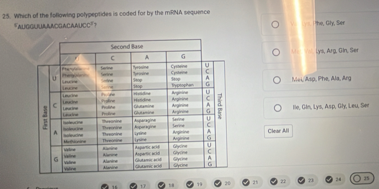 Which of the following polypeptides is coded for by the mRNA sequence
u GGUUAAA C G A C A ucc^3 7 Ver Lys, Phe, Gly, Ser
Mer Val, Lys, Arg, Gin, Ser
Mei, Asp, Phe, Ala, Arg
lle, Gin, Lys, Asp, Gly, Leu, Ser
Clear All
16 17 18 19 20 21 22 23 24 25