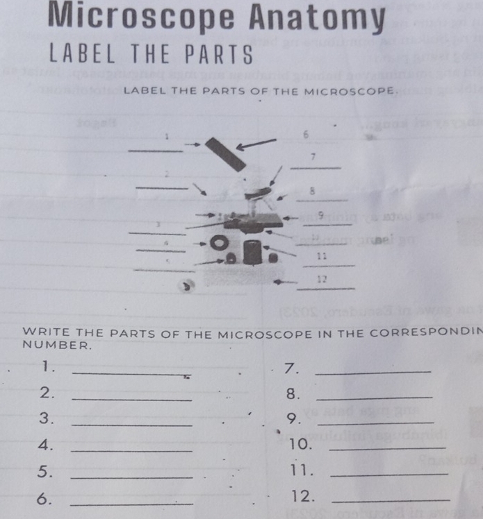 Solved: Microscope Anatomy LABEL THE PARTS LABEL tHE PARTS OF thE ...