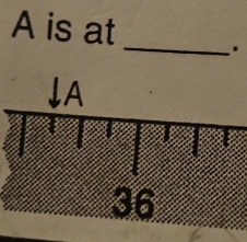 A is at _.
↓A
36