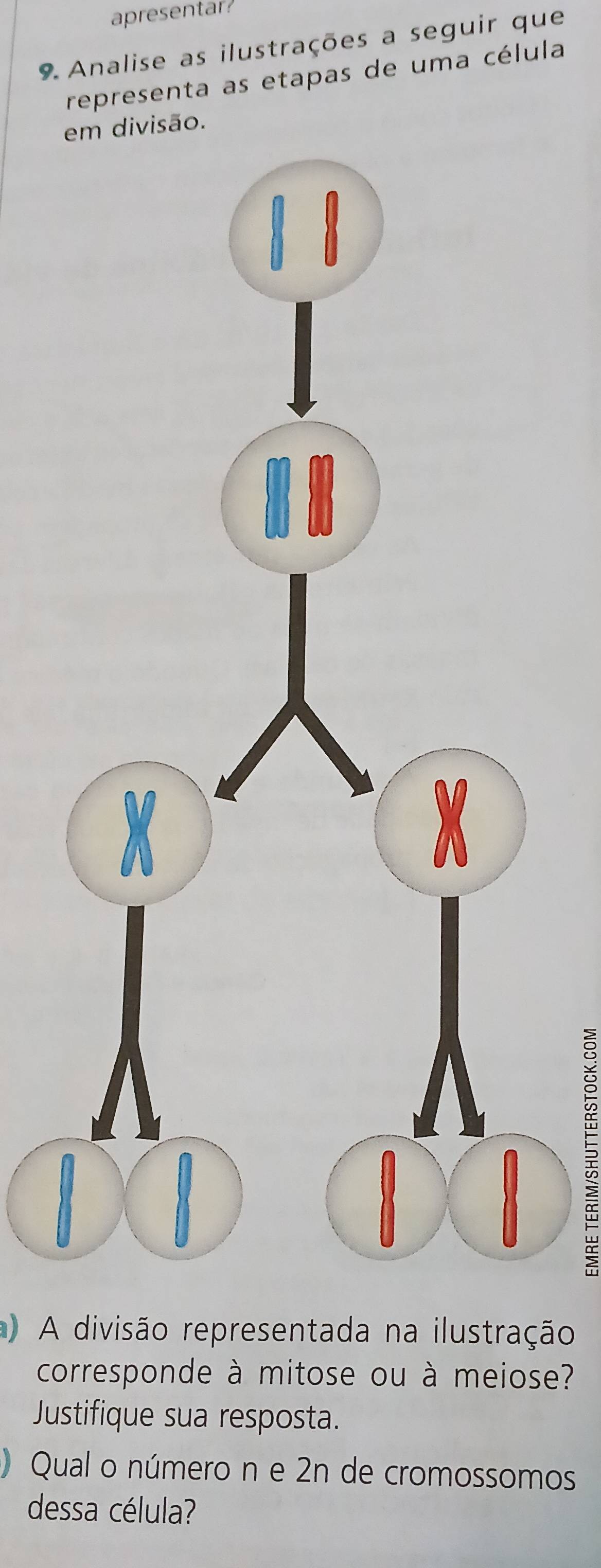 apresentar 
9 Analise as ilustrações a seguir que 
representa as etapas de uma célula 
em divisão. 
5 
) A divisão representada na ilustração 
corresponde à mitose ou à meiose? 
Justifique sua resposta. 
) Qual o número n e 2n de cromossomos 
dessa célula?