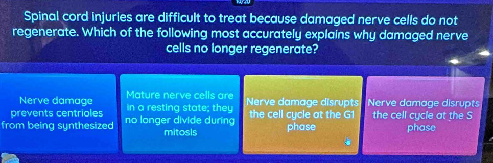 Spinal cord injuries are difficult to treat because damaged nerve cells do not
regenerate. Which of the following most accurately explains why damaged nerve
cells no longer regenerate?
Nerve damage Mature nerve cells are
prevents centrioles in a resting state; they Nerve damage disrupts Nerve damage disrupts
from being synthesized no longer divide during the cell cycle at the G1 the cell cycle at the S
mitosis phase phase