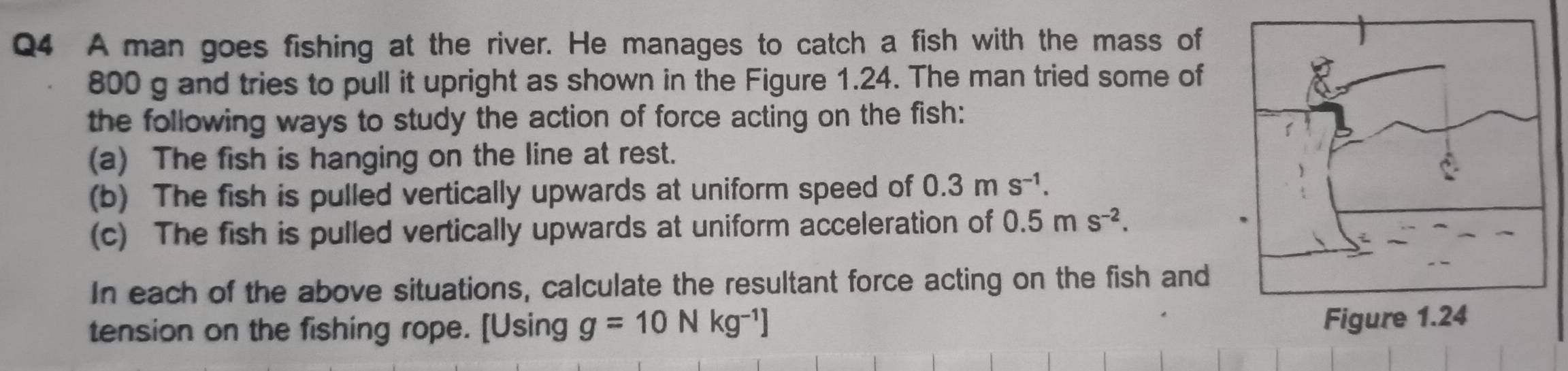 A man goes fishing at the river. He manages to catch a fish with the mass of
800 g and tries to pull it upright as shown in the Figure 1.24. The man tried some of 
the following ways to study the action of force acting on the fish: 
(a) The fish is hanging on the line at rest. 
(b) The fish is pulled vertically upwards at uniform speed of 0.3ms^(-1). 
(c) The fish is pulled vertically upwards at uniform acceleration of 0.5ms^(-2). 
In each of the above situations, calculate the resultant force acting on the fish and 
tension on the fishing rope. [Using g=10Nkg^(-1)]