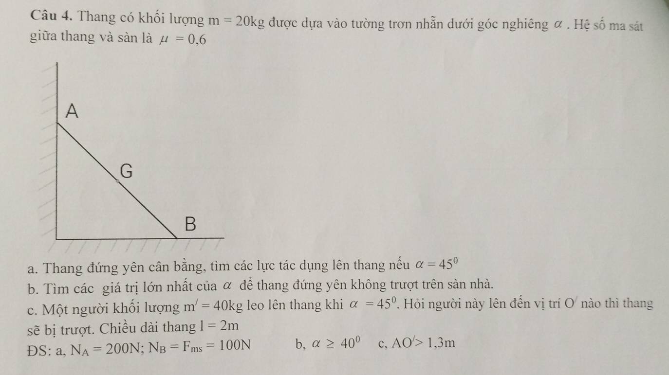 Thang có khối lượng m=20kg được dựa vào tường trơn nhẵn dưới góc nghiêng α. Hệ số ma sát
giữa thang và sàn là mu =0,6
a. Thang đứng yên cân bằng, tìm các lực tác dụng lên thang nếu alpha =45°
b. Tìm các giá trị lớn nhất của α để thang đứng yên không trượt trên sàn nhà.
c. Một người khối lượng m'=40kg leo lên thang khi alpha =45°. Hỏi người này lên đến vị trí O nào thì thang
sẽ bị trượt. Chiều dài thang 1=2m
DS: a, N_A=200N; N_B=F_ms=100N b, alpha ≥ 40° c, AO'>1,3m