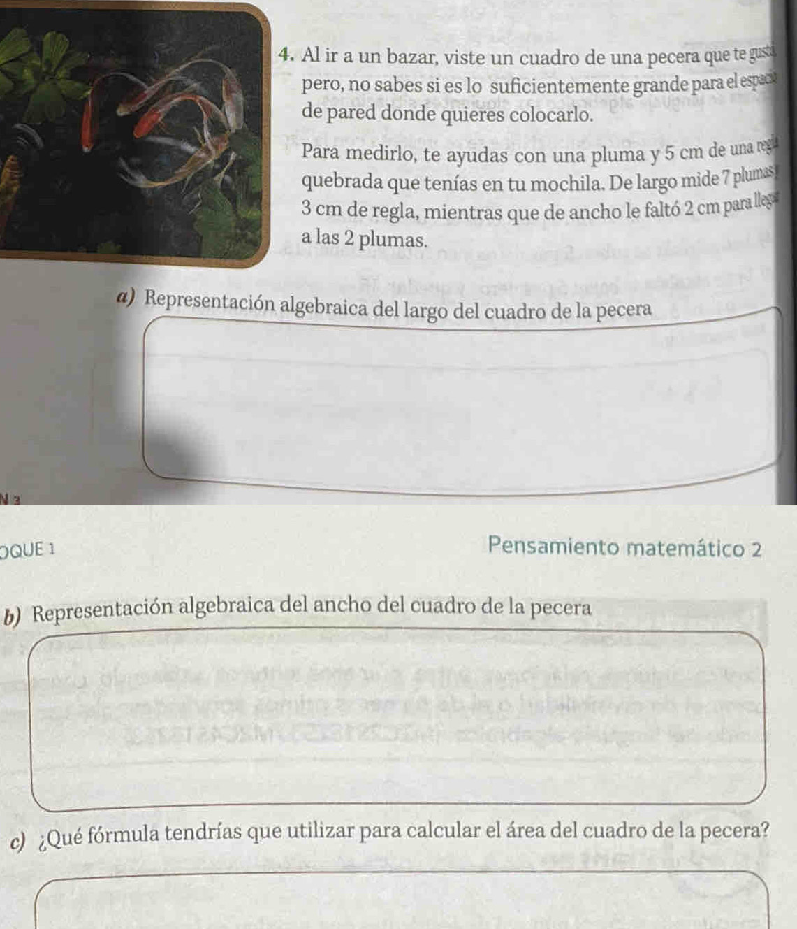 Al ir a un bazar, viste un cuadro de una pecera que te gusti 
pero, no sabes si es lo suficientemente grande para el espact 
de pared donde quieres colocarlo. 
Para medirlo, te ayudas con una pluma y 5 cm de una regl 
quebrada que tenías en tu mochila. De largo mide 7 plumas
3 cm de regla, mientras que de ancho le faltó 2 cm para llegs 
a las 2 plumas. 
@) Representación algebraica del largo del cuadro de la pecera 
QUE 1 Pensamiento matemático 2 
b) Representación algebraica del ancho del cuadro de la pecera 
c) ¿Qué fórmula tendrías que utilizar para calcular el área del cuadro de la pecera?