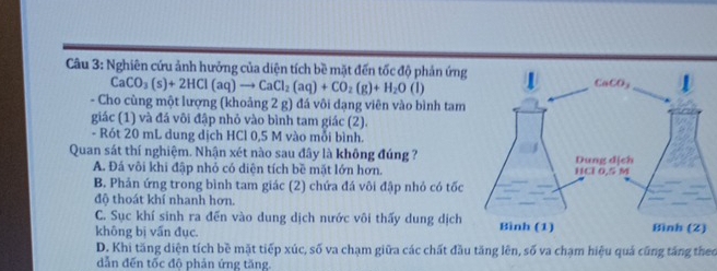 Nghiên cứu ảnh hưởng của diện tích bề mặt đến tốc độ phản ứng
CaCO_3(s)+2HCl(aq)to CaCl_2(aq)+CO_2(g)+H_2O(l)
- Cho cùng một lượng (khoảng 2 g) đá vôi dạng viên vào bình tam
giác (1) và đá vôi đập nhỏ vào bình tam giác (2).
- Rót 20 mL dung dịch HCl 0,5 M vào mỗi bình.
Quan sát thí nghiệm. Nhận xét nào sau đây là không đúng ?
A. Đá vôi khi đập nhỏ có diện tích bề mặt lớn hơn.
B. Phản ứng trong bình tam giác (2) chứa đá vôi đập nhỏ có tốc
độ thoát khí nhanh hơn.
C. Sục khí sinh ra đến vào dung dịch nước vôi thấy dung dịch
không bị vấn đục.
D. Khi tăng diện tích bề mặt tiếp xúc, số va chạm giữa các chất đầu tăng lên, số va chạm hiệu quả cũng tăng theo
dẫn đến tốc độ phản ứng tăng.