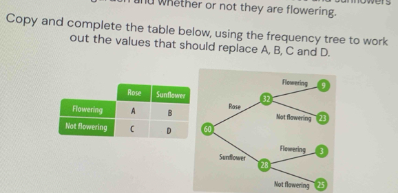 and whether or not they are flowering. 
Copy and complete the table below, using the frequency tree to work 
out the values that should replace A, B, C and D.