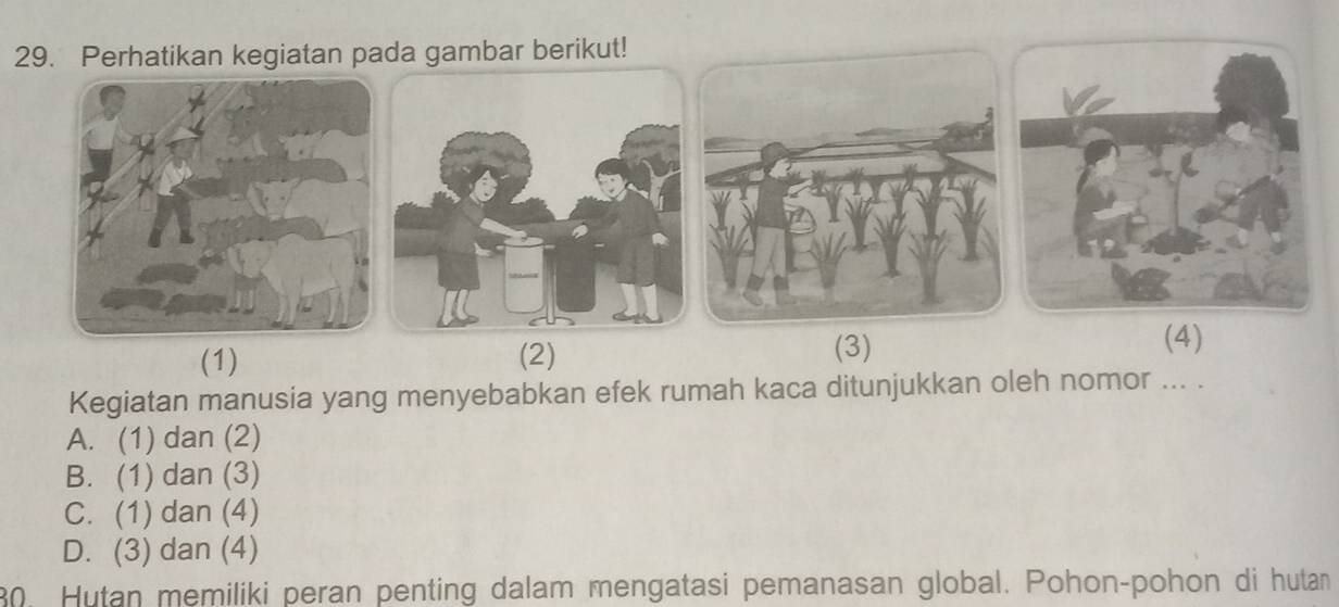 Perhatikan kegiatan pada gambar berikut!
(1) (2) (3)
(4)
Kegiatan manusia yang menyebabkan efek rumah kaca ditunjukkan oleh nomor ... .
A. (1) dan (2)
B. (1) dan (3)
C. (1) dan (4)
D. (3) dan (4)
30. Hutan memiliki peran penting dalam mengatasi pemanasan global. Pohon-pohon di hutan