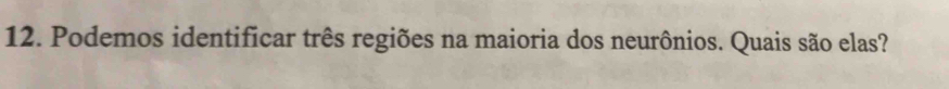 Podemos identificar três regiões na maioria dos neurônios. Quais são elas?