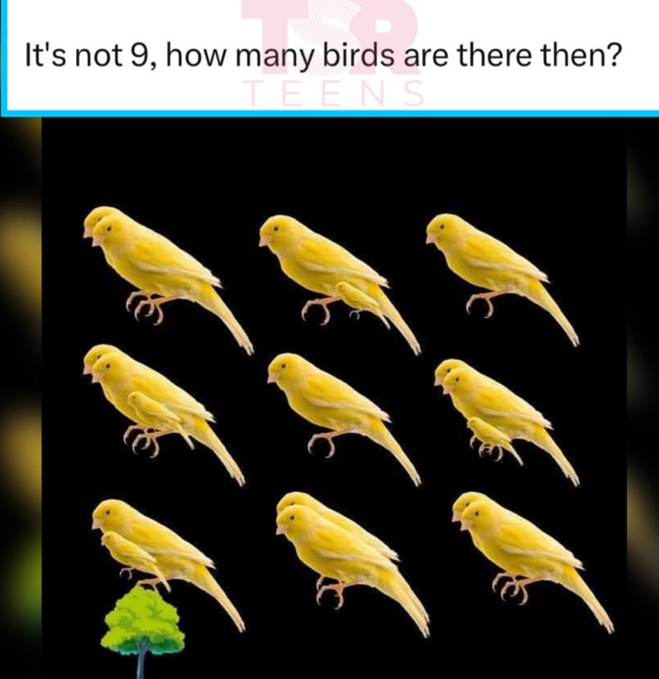 Solved: It's not 9, how many birds are there then? [Math]