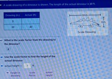 a A scale drawing of a dinosaur is shown. The length of the actual dinesaur is 40 ft. 

What is the scale factor from the drawing to 
the dinosaur? 
4 
Use the scale factor to find the height of the 
actual dinosaur. 
= actual height L ft
scole actual 
height in drawing factor height