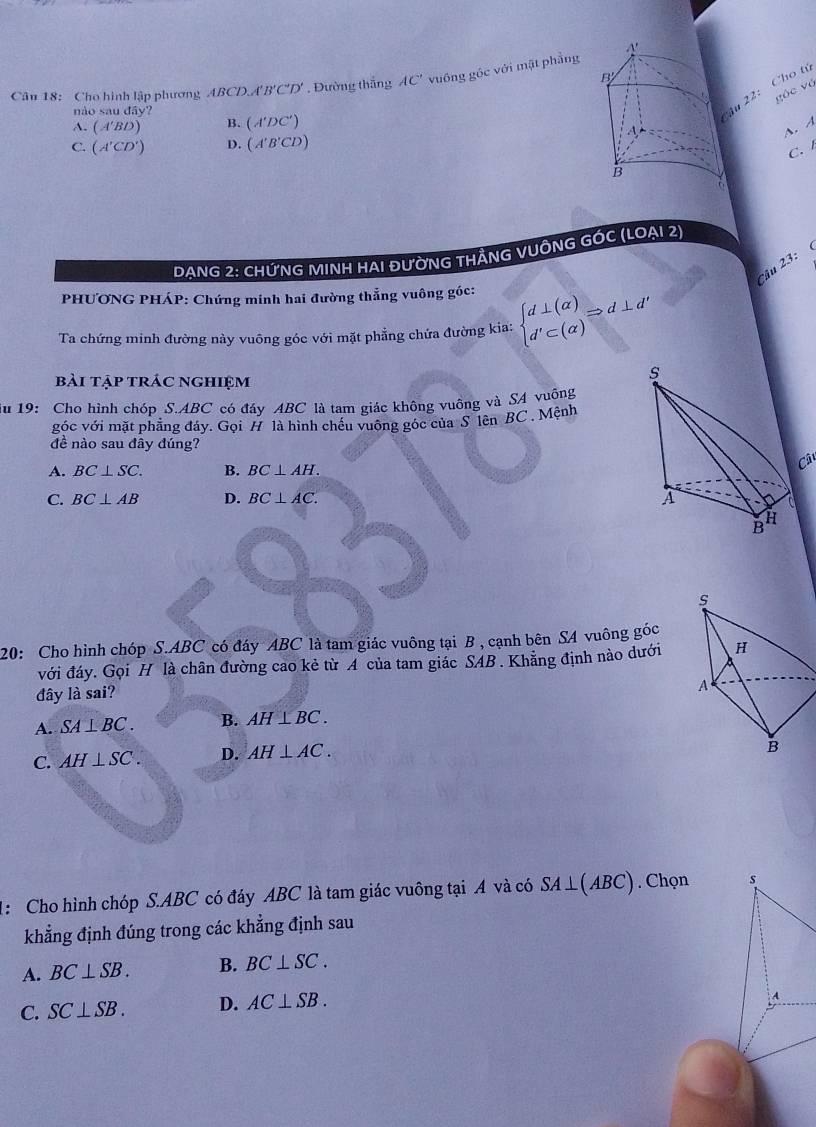Cho hình lập phương ABCDA B'C'D' * . Đường thắng AC' vuống góc với mật phẳng
góc vó
não sai day ?
22: Cho tú
A. (A'BD) B. (A'DC')
A. A
C. (A'CD') D. (A'B'CD)
C. 
DANG 2: CHỨNG MINH HAI ĐƯỜNG THÃNG VUÔNG GÓC (LOẠI 2)
Câu 23:
PHƯƠNG PHÁP: Chứng minh hai đường thẳng vuông góc:
Ta chứng minh đường này vuông góc với mặt phẳng chứa đường kia: beginarrayl d⊥ (alpha ) d'⊂ (alpha )endarray.  Rightarrow d⊥ d'
bài tập trác nghiệm
Au 19: Cho hình chóp S. ABC có đáy ABC là tam giác không vuỡng và SA vuông
góc với mặt phẳng đáy. Gọi H là hình chếu vuông góc của S lên BC. Mệnh
đề nào sau đây đúng?
A. BC⊥ SC. B. BC⊥ AH. 
Câ
C. BC⊥ AB D. BC⊥ AC. 
20: Cho hình chóp S. ABC có đáy ABC là tam giác vuông tại B , cạnh bên SA vuông góc
với đáy. Gọi H là chân đường cao kẻ từ A của tam giác SAB . Khẳng định nào dưới
đây là sai?
A. SA⊥ BC. B. AH⊥ BC.
C. AH⊥ SC. D. AH⊥ AC. 
1: Cho hình chóp S. ABC có đáy ABC là tam giác vuông tại A và có SA⊥ (ABC). Chọn s
khẳng định đúng trong các khẳng định sau
A. BC⊥ SB. B. BC⊥ SC.
C. SC⊥ SB. D. AC⊥ SB. 
A