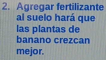 Agregar fertilizante 
al suelo hará que 
las plantas de 
banano crezcan 
mejor.