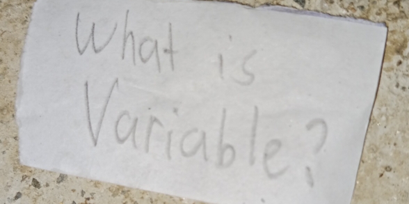 What is 
Variable?