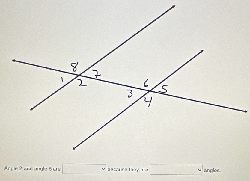 Angle 2 and angle 8 are □ because they are □ an gles