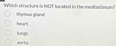 Which structure is NOT located in the mediastinum?
thymus gland
heart
lungs
aorta